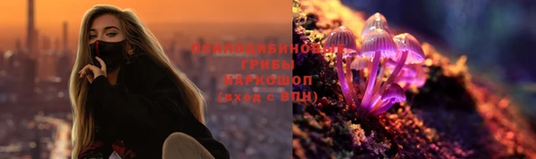 ПСИЛОЦИБИНОВЫЕ ГРИБЫ Гусь-Хрустальный